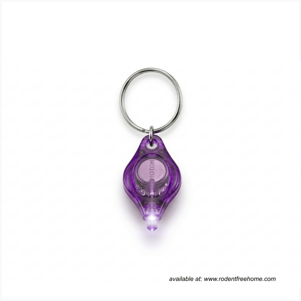 Magic Rodent™ Tracing Kit with UV Torch - Rodent Tracing - RFH | rodentfreehome