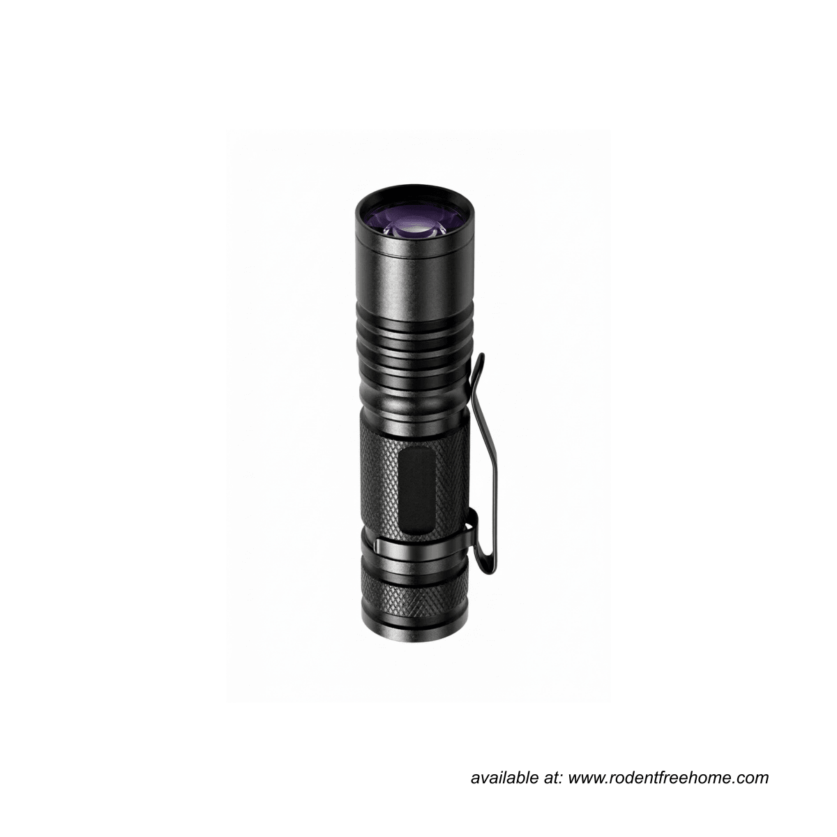 Magic Rodent™ Tracing Kit with UV Torch - Rodent Tracing - RFH | rodentfreehome